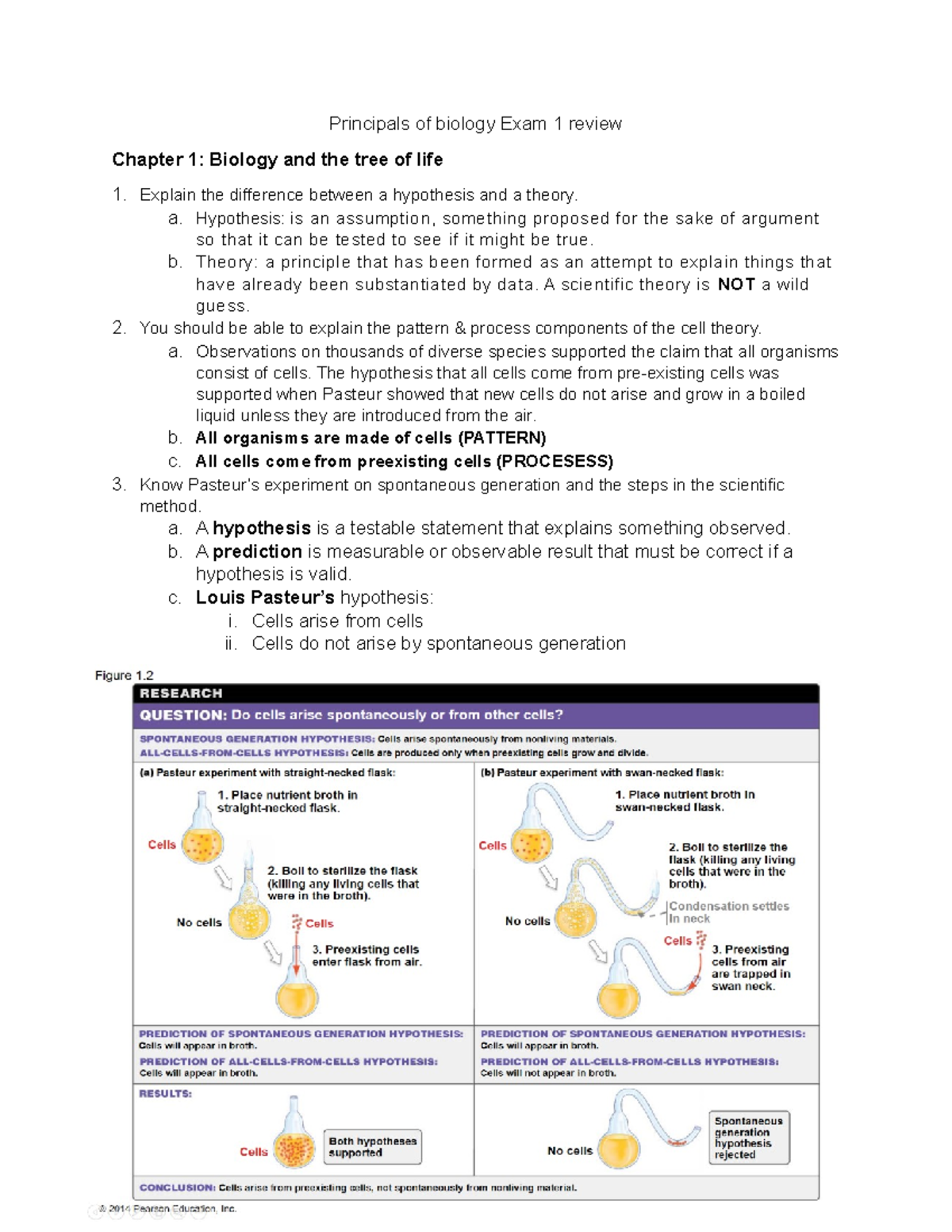 Principals Of Biology Exam 1 Review - Principals Of Biology Exam 1 ...