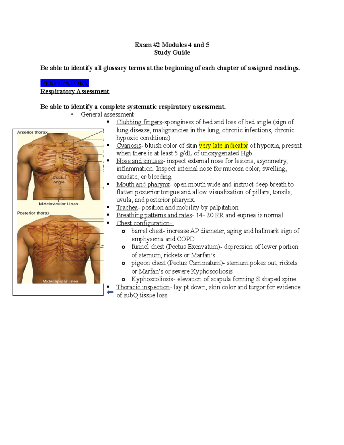 Adults 2- Exam 2 study guide - Exam #2 Modules 4 and 5 Study Guide Be ...