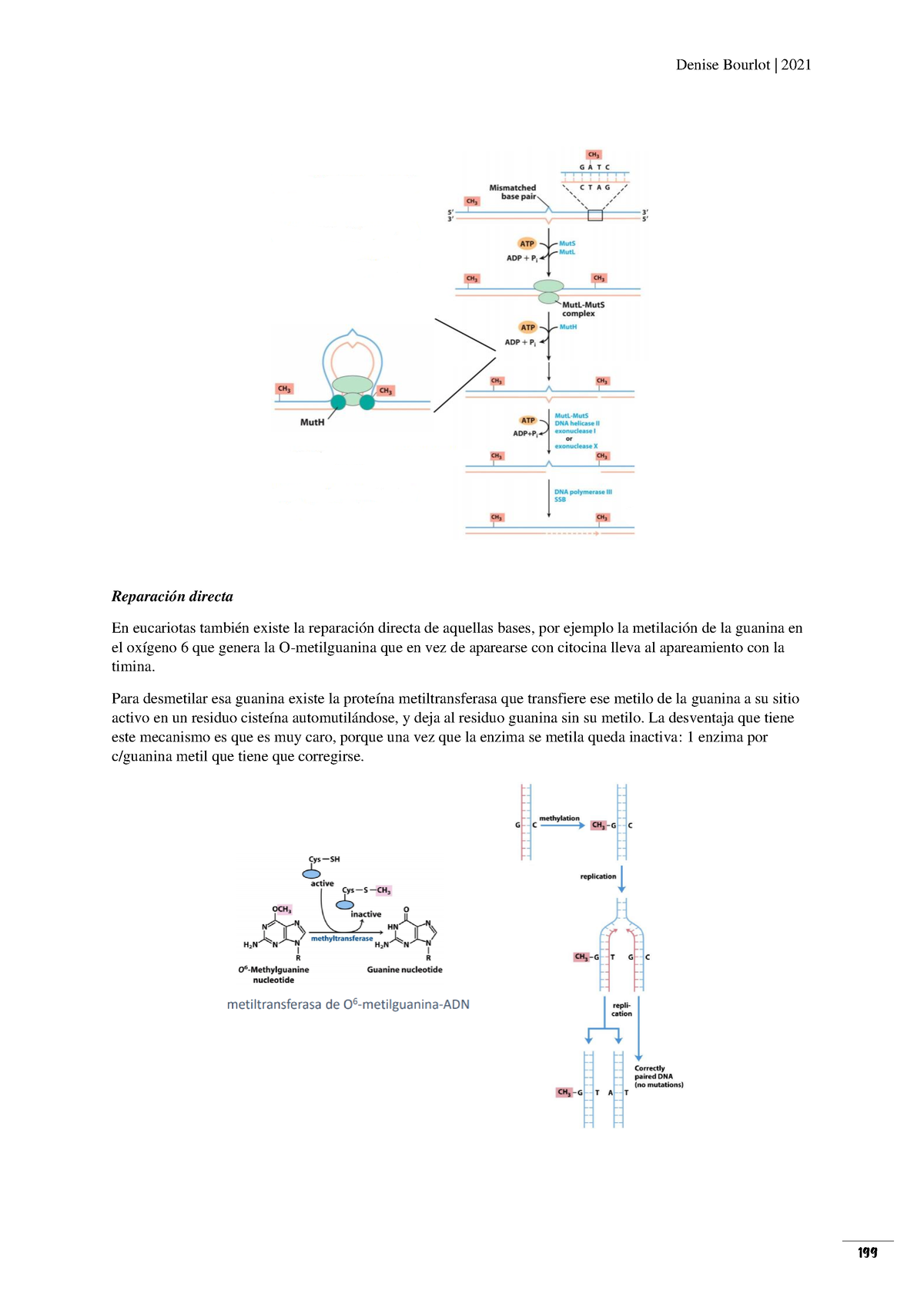 199 - Bioquímica - Lehninger Principles of Biochemistry - Denise 