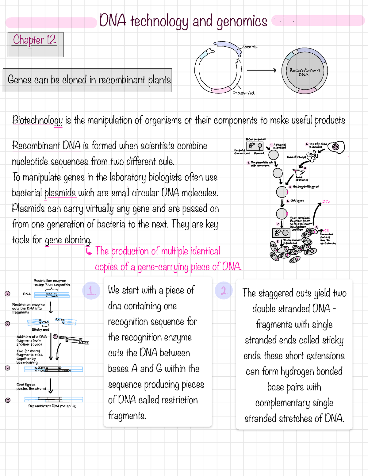 Chapter 12 Outline For Biology Concepts And Connections - ####### DNA ...