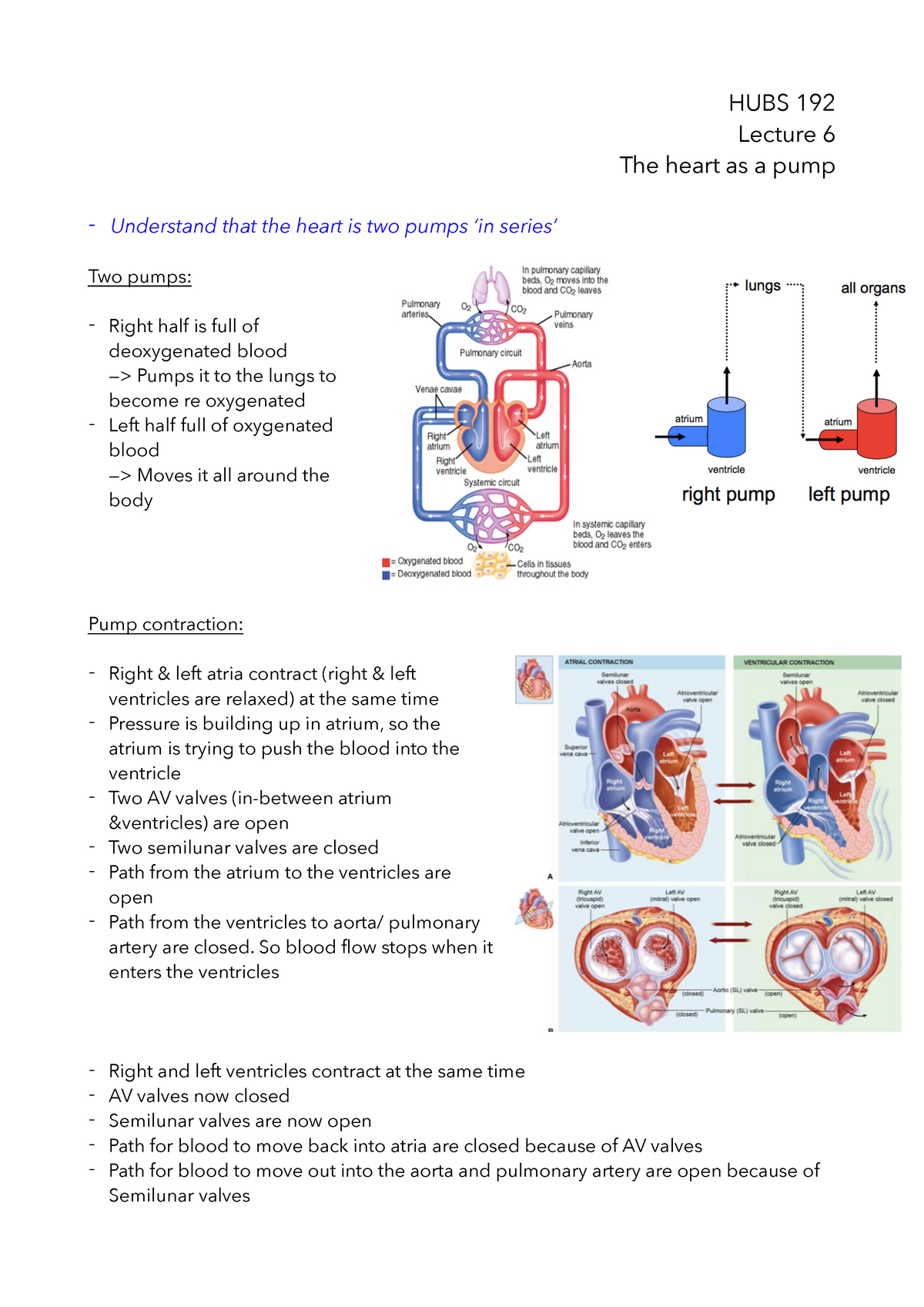 Lecture 6 - The heart as a pump - HUBS 192 Lecture 6 The heart as a ...