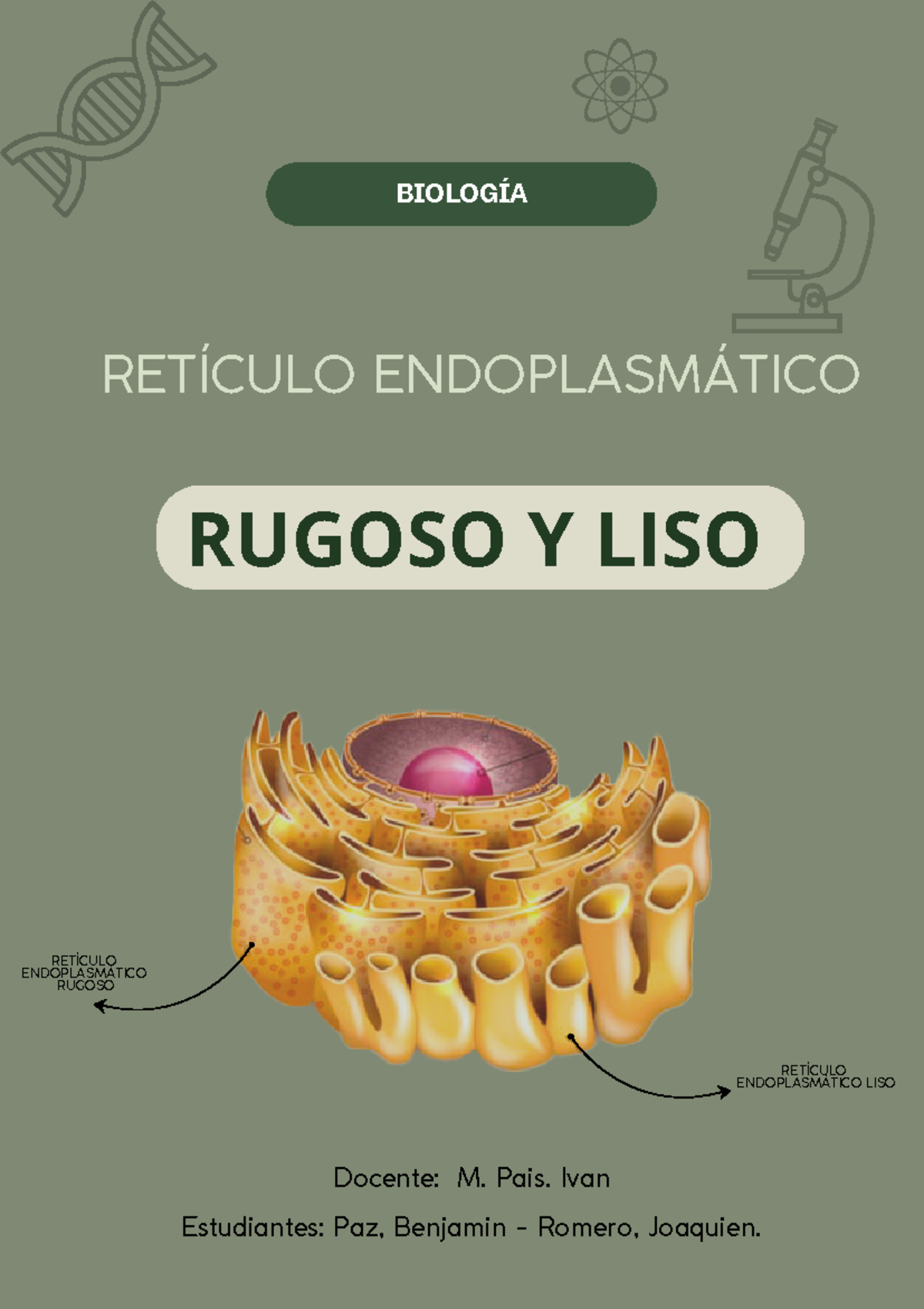 Reticulo Endoplasmatico Rugoso Y LISO - BIOLOGÍA Docente: M. Pais. Ivan ...