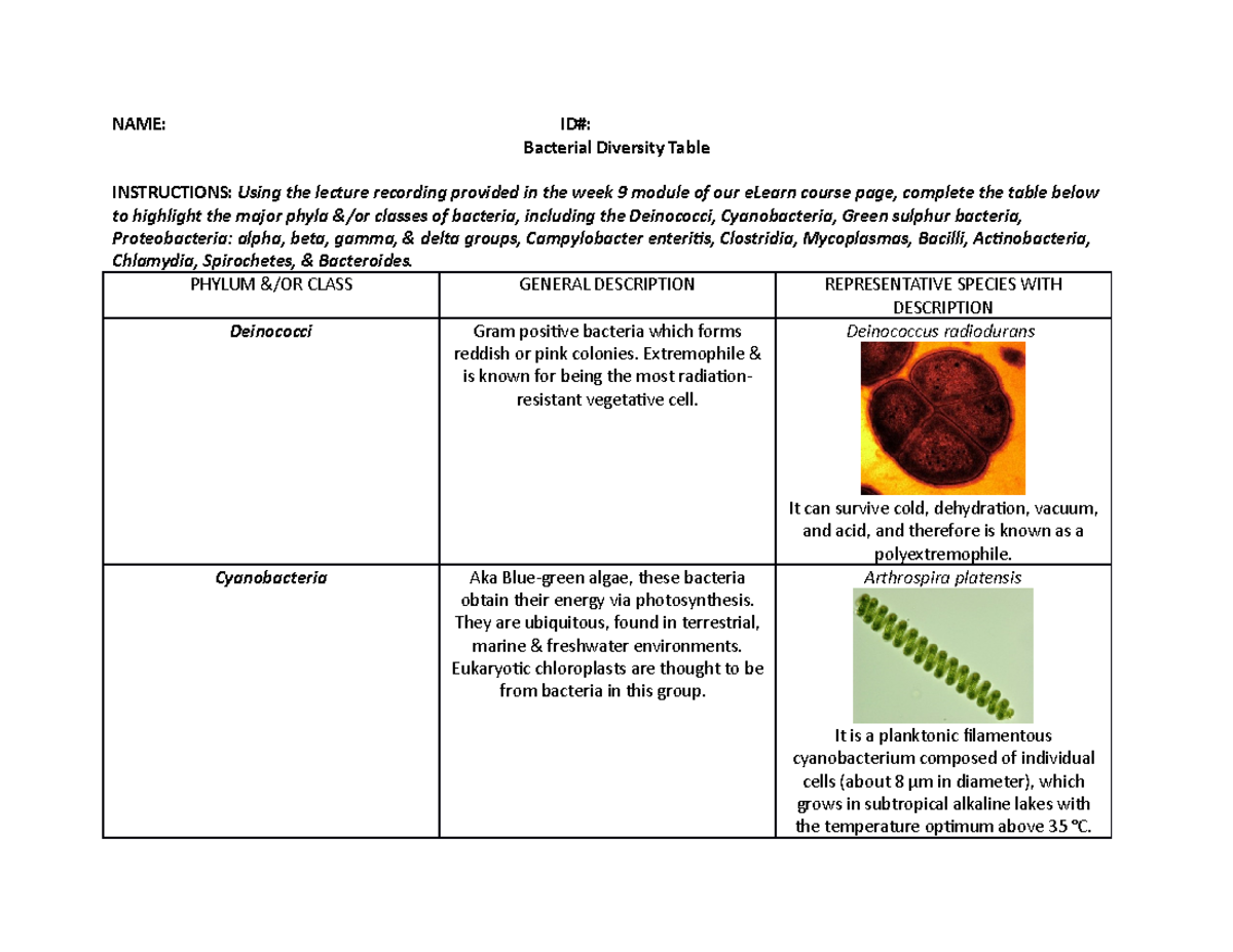 8. Diversity of Bacteria Table - NAME: ID#: Bacterial Diversity Table ...