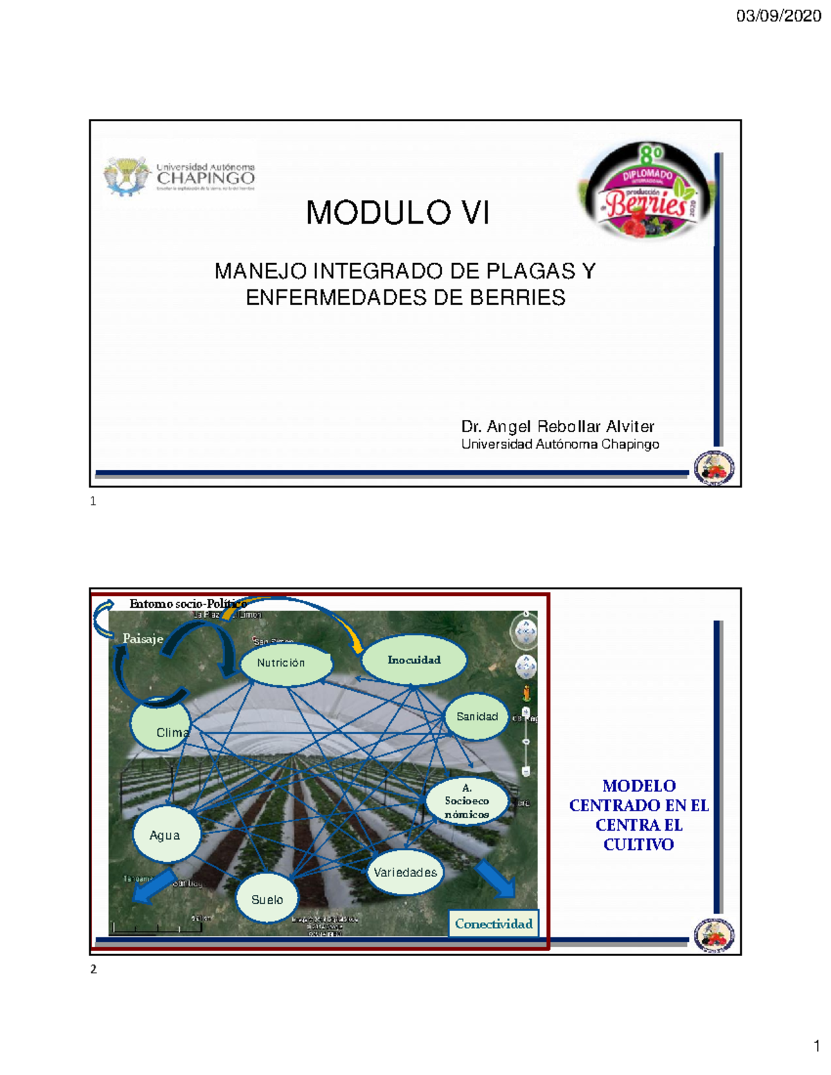 Bases MIP 20 - Manejo Integral De Plagas - MANEJO INTEGRADO DE PLAGAS Y ...