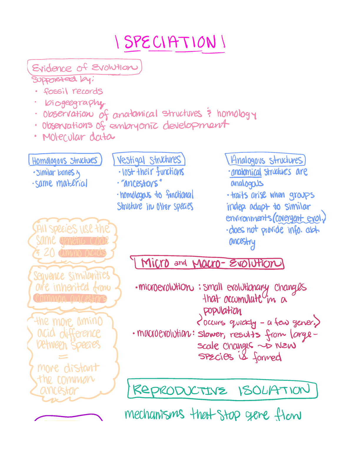 BIO - Speciation - I SPECIATION Endeneofention supportedby fossil ...