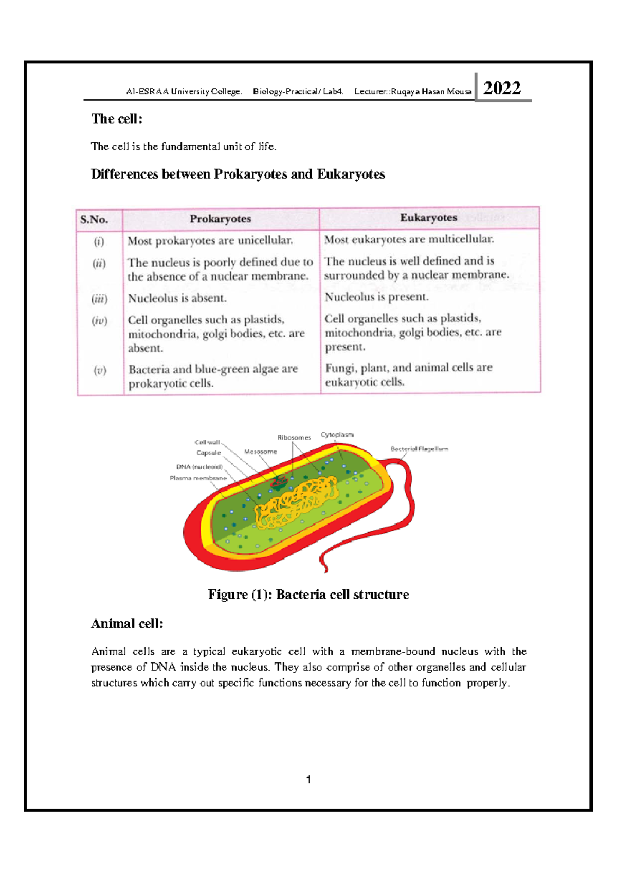 Biology-Practical - Biology-Practical - 1 The cell: The cell is the ...