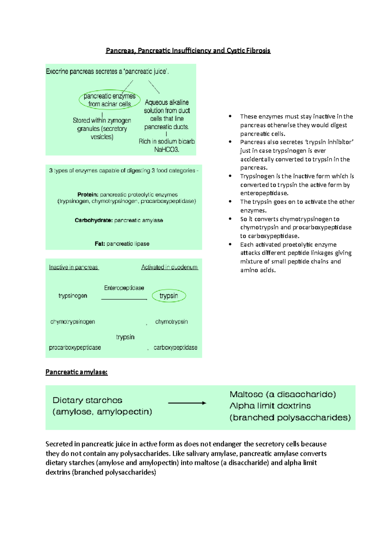 Pancreas, Pancreatic Insufficeincy and Cystic Fibrosis - Pancreas ...