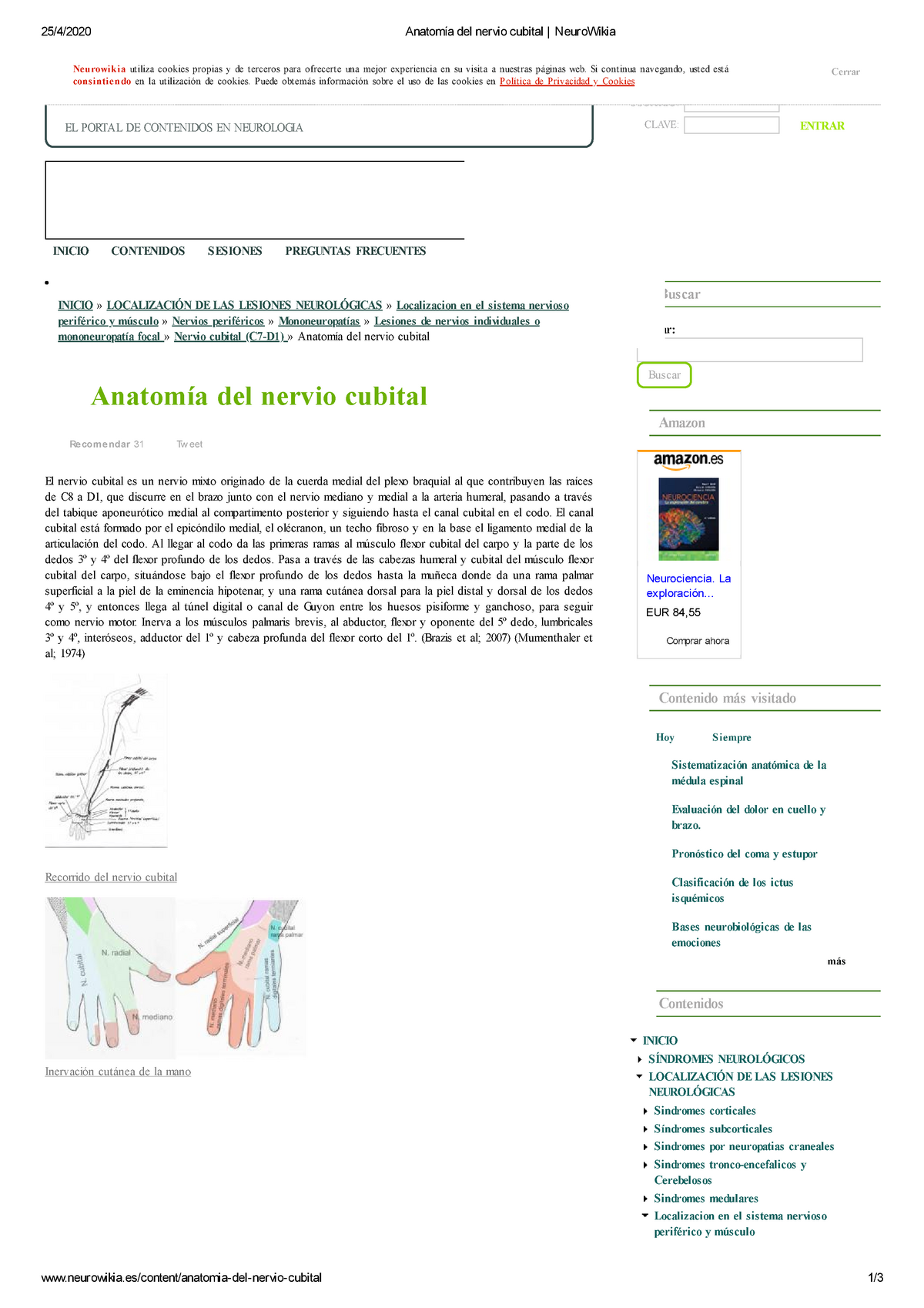 Anatomia Del Nervio Cubital Studocu