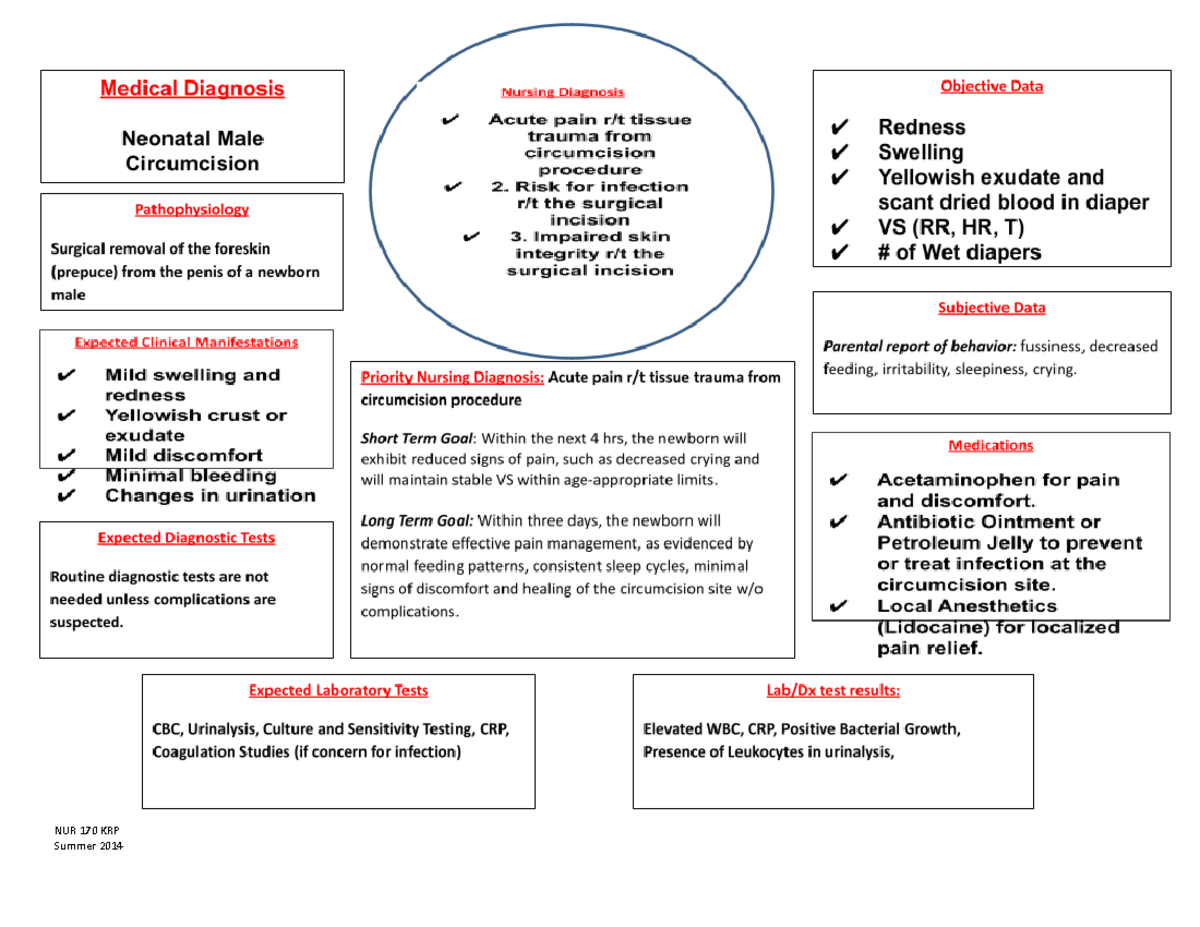 PDF Peds Concept Map - NUR 254 - NUR 170 KRP Summer 2014 - Studocu