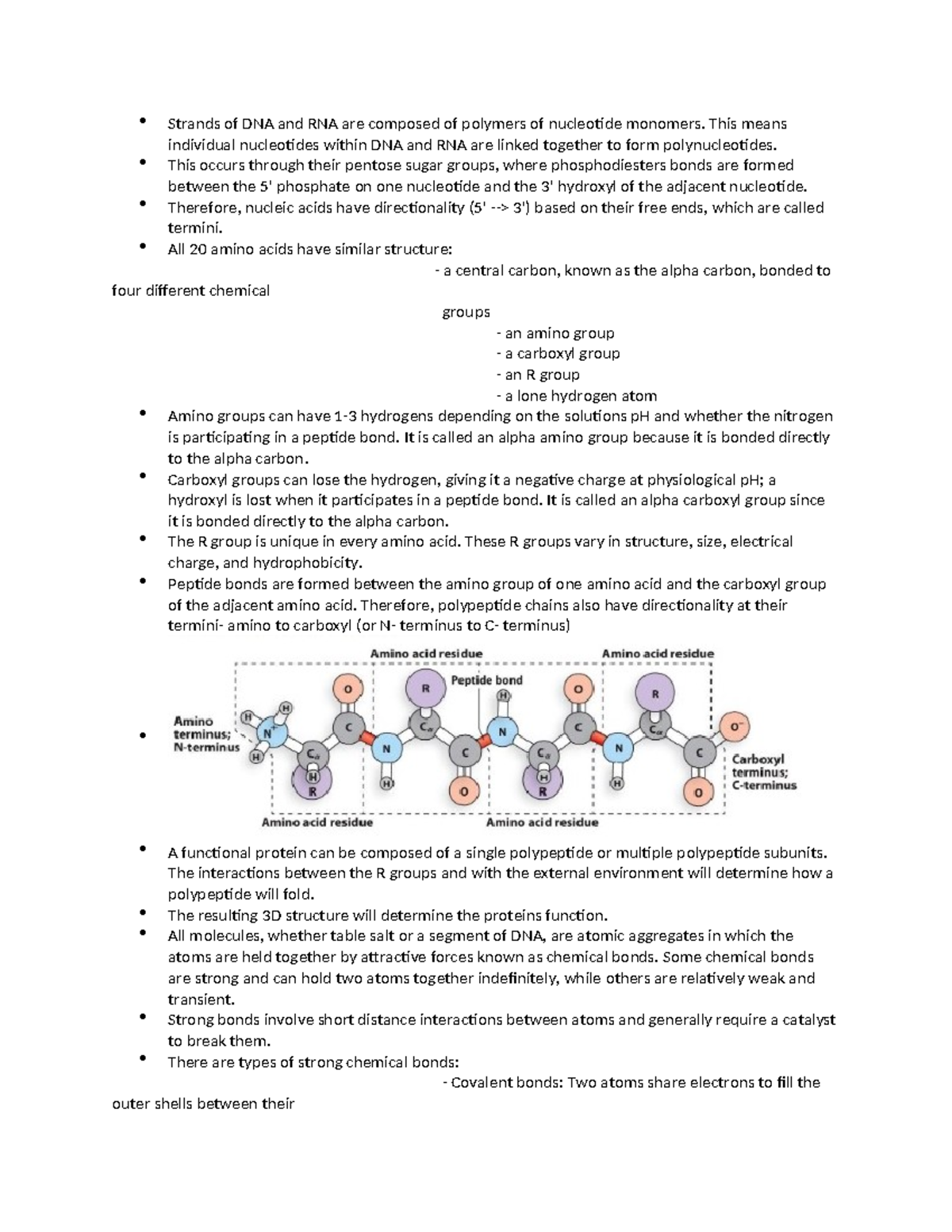 BCHM 218 Mod 1 - Strands of DNA and RNA are composed of polymers of ...