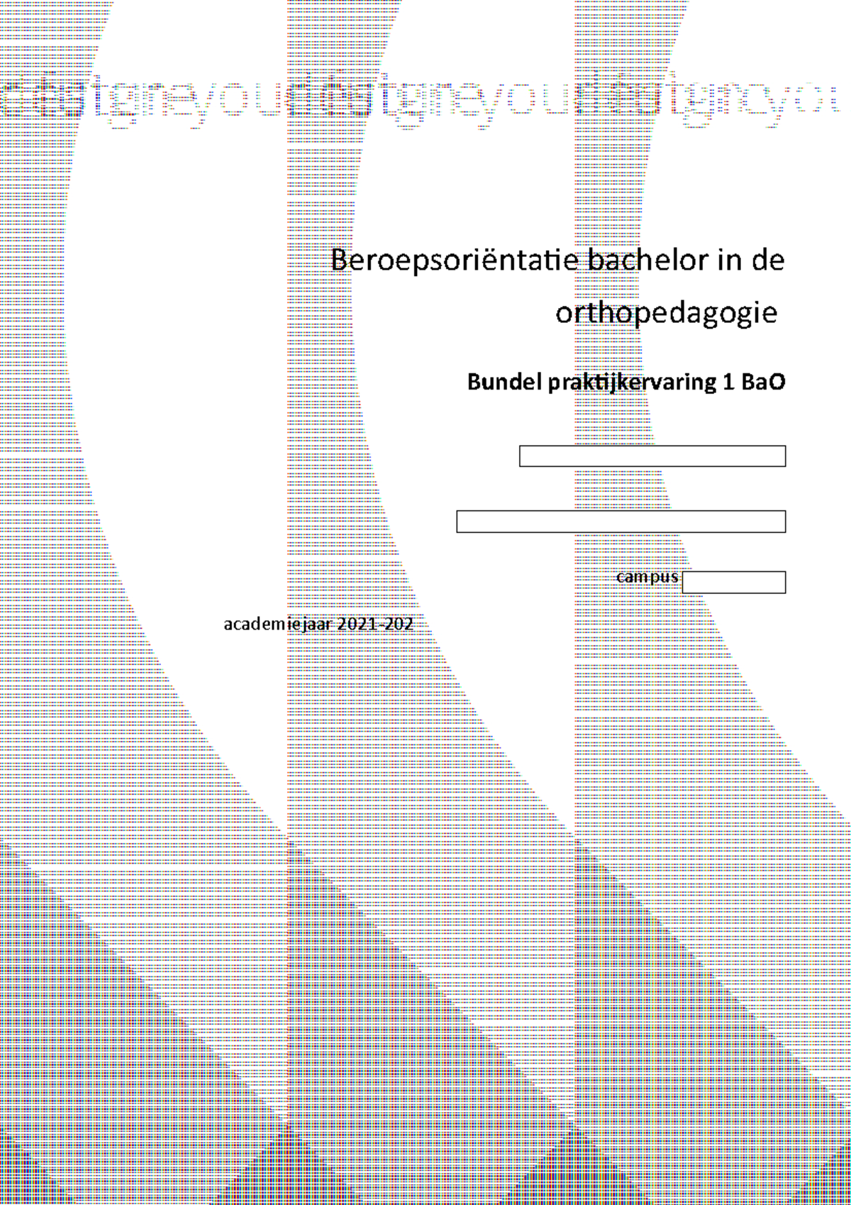 2021-2022 Beroepsoriëntatie Bachelor In De Orthopedagogie ...