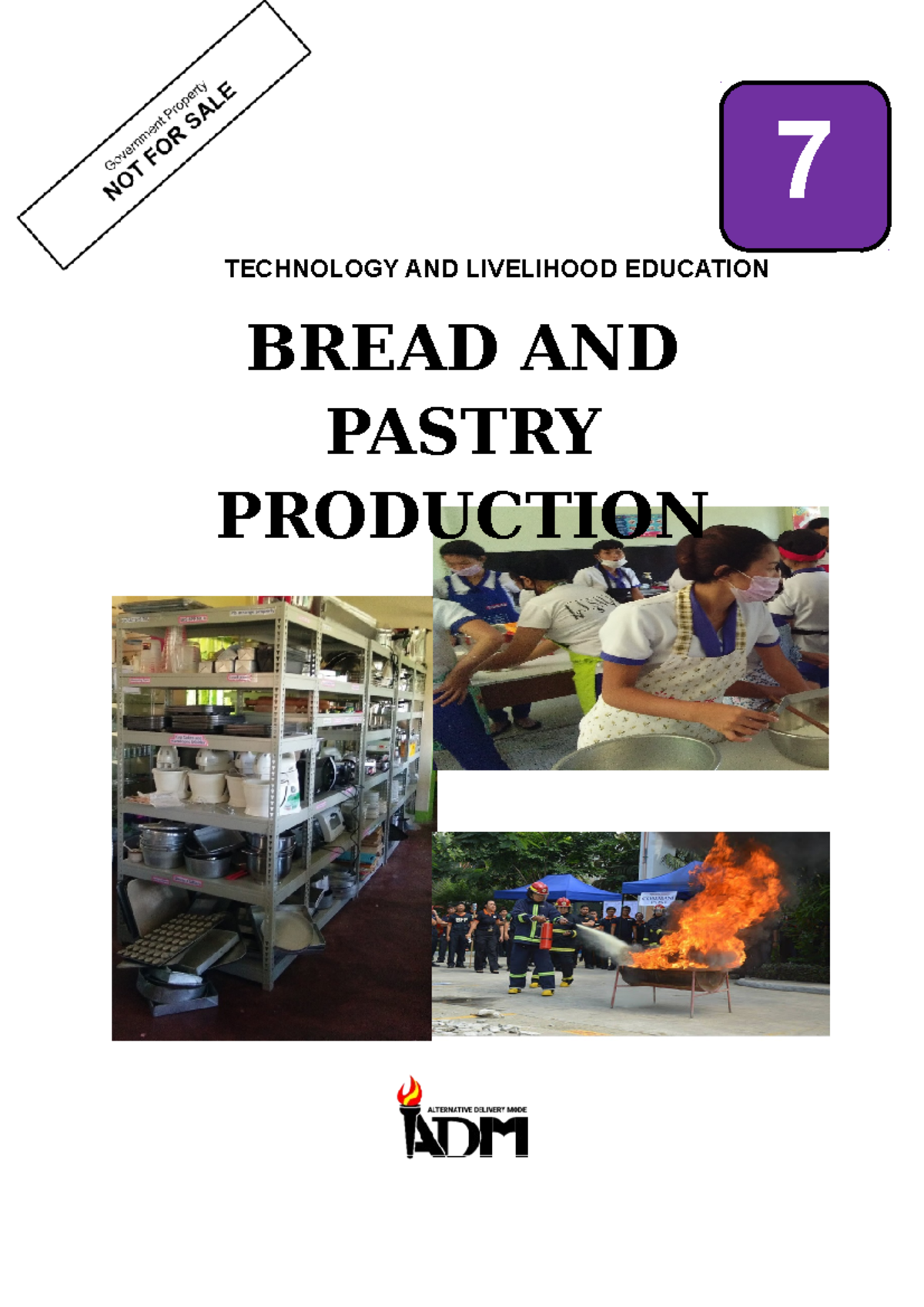 TLE HE BPP M3 v2Final .. TECHNOLOGY AND LIVELIHOOD EDUCATION