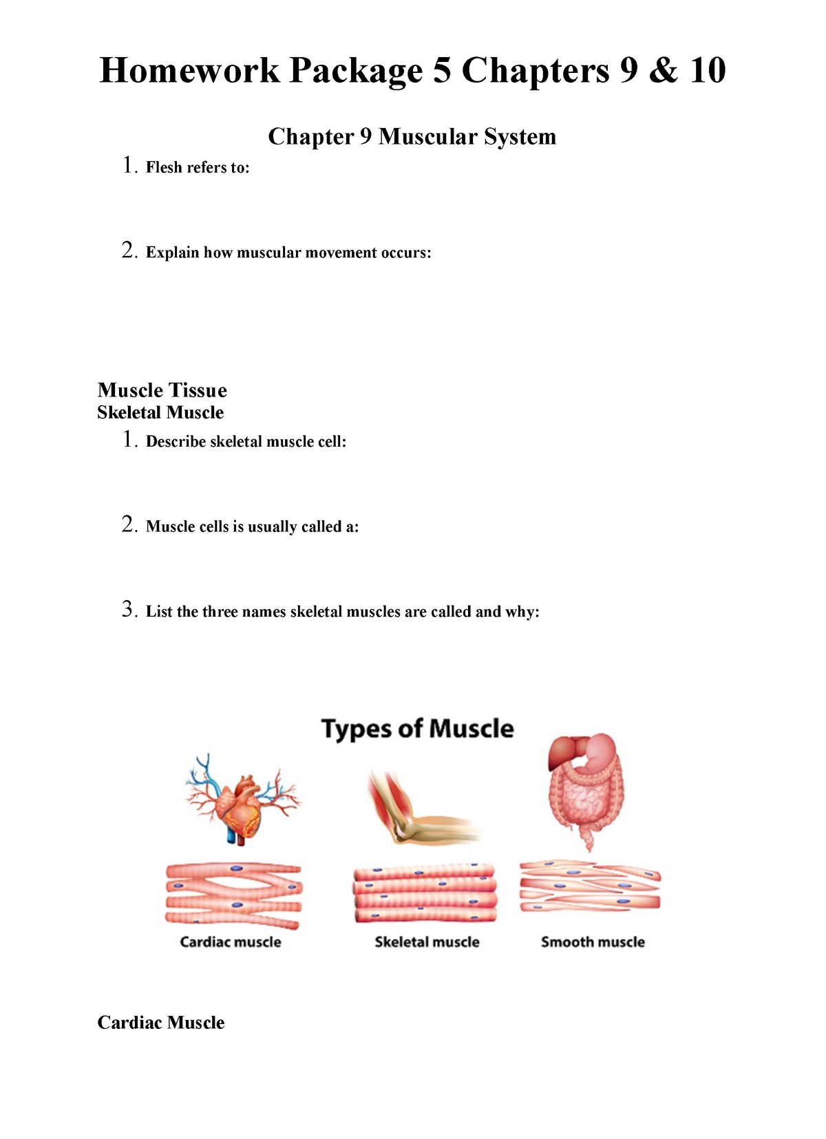 chapter 5 connect homework anatomy and physiology