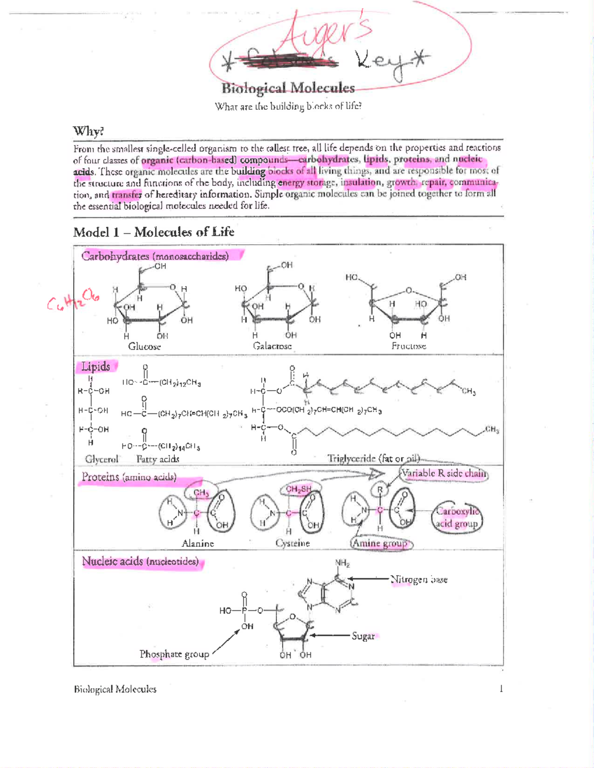 Molecules 20of 20Life 20 Pogiil 20 Answers 1 LogicaLMolecul What Are   Thumb 1200 1553 