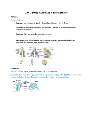 Unit 3 Study Guide - Homeostasis, Negative Feedback Mechanisms ...