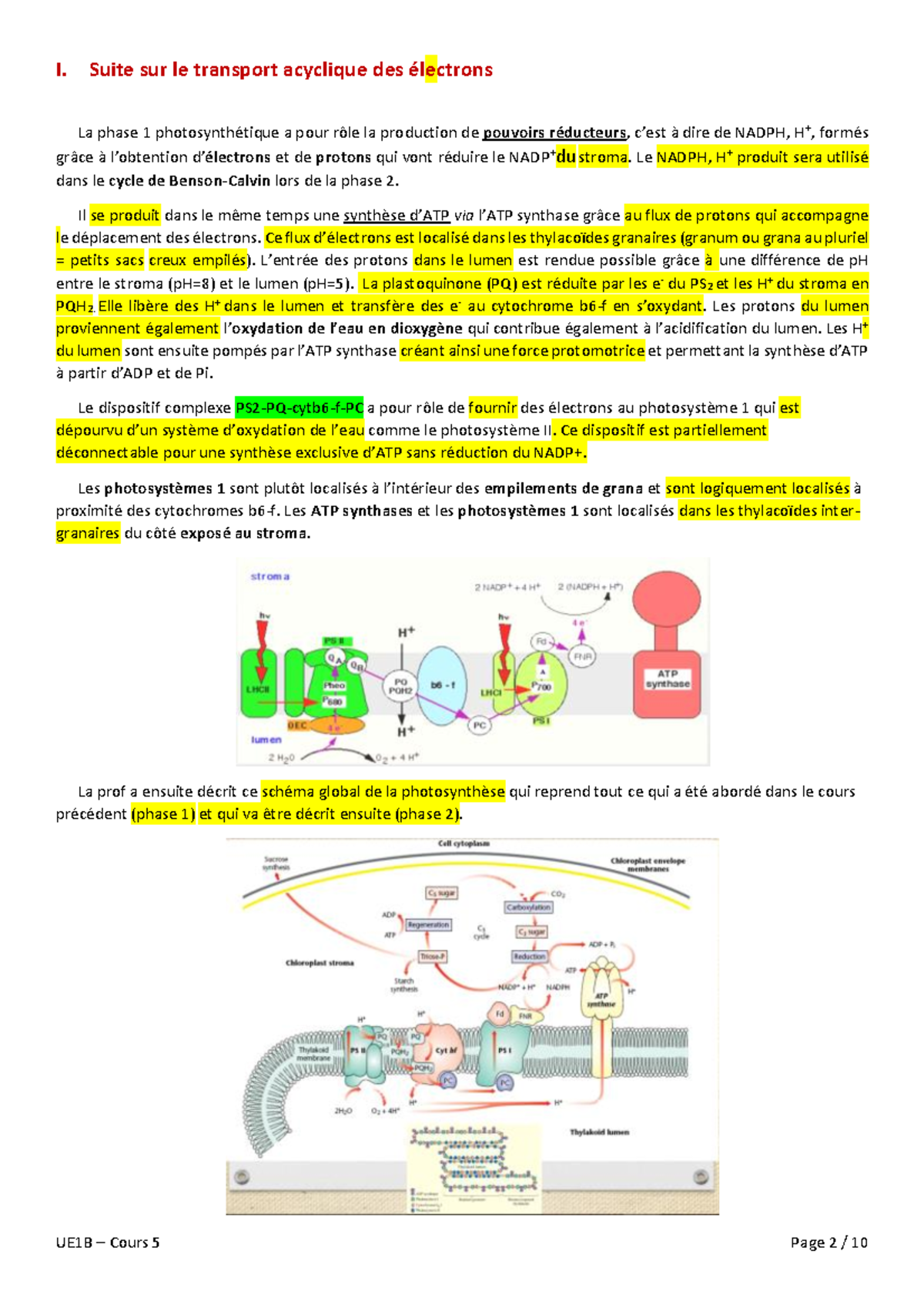 UE1 B - Cours 5 - Warning: TT: Undefined Function: 22 Warning: TT ...