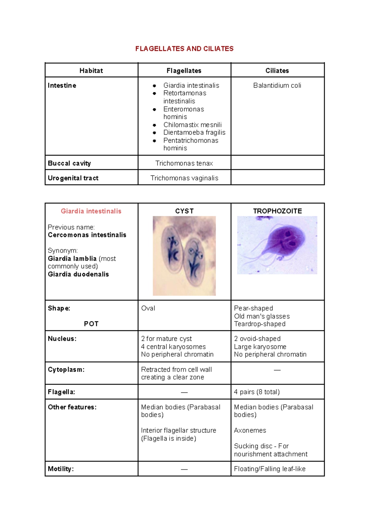Parasitology Flagellates AND Ciliates FLAGELLATES AND CILIATES