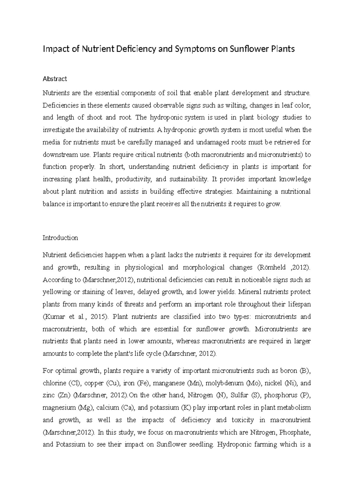 Impact of Nutrient Deficiency and Symptoms on Sunflower Plants - Impact ...