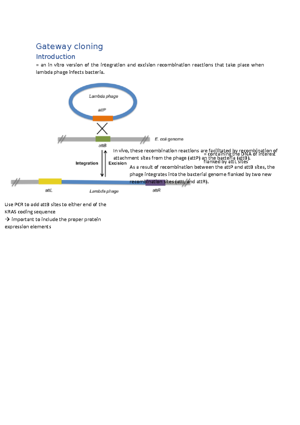 Gateway cloning Gateway cloning Introduction = an in vitro version of the integration and