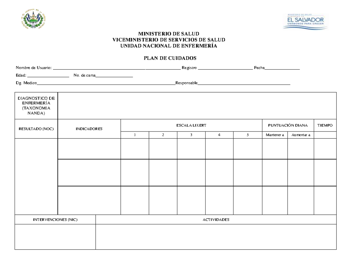 Formato de Plan de Cuidados - MINISTERIO DE SALUD VICEMINISTERIO DE ...