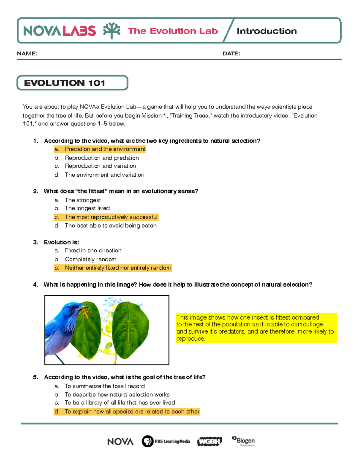 NOVA Evolution Lab Worksheets The Evolution Lab Introduction