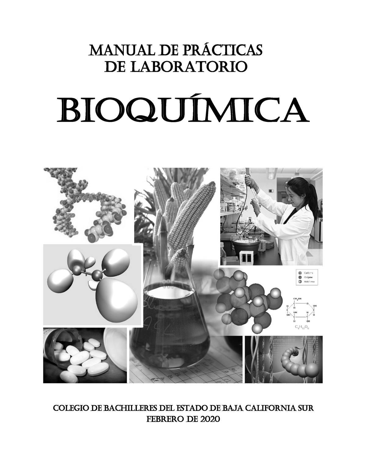 Manual De Practicas De Laboratorio Bioquimica - MANUAL DE PR¡CTICAS DE ...