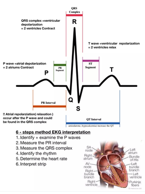 EKG-Interpretation-Cheat-Sheet-for-Heart-Arrhythmias Nurseslabs 3 - EKG ...