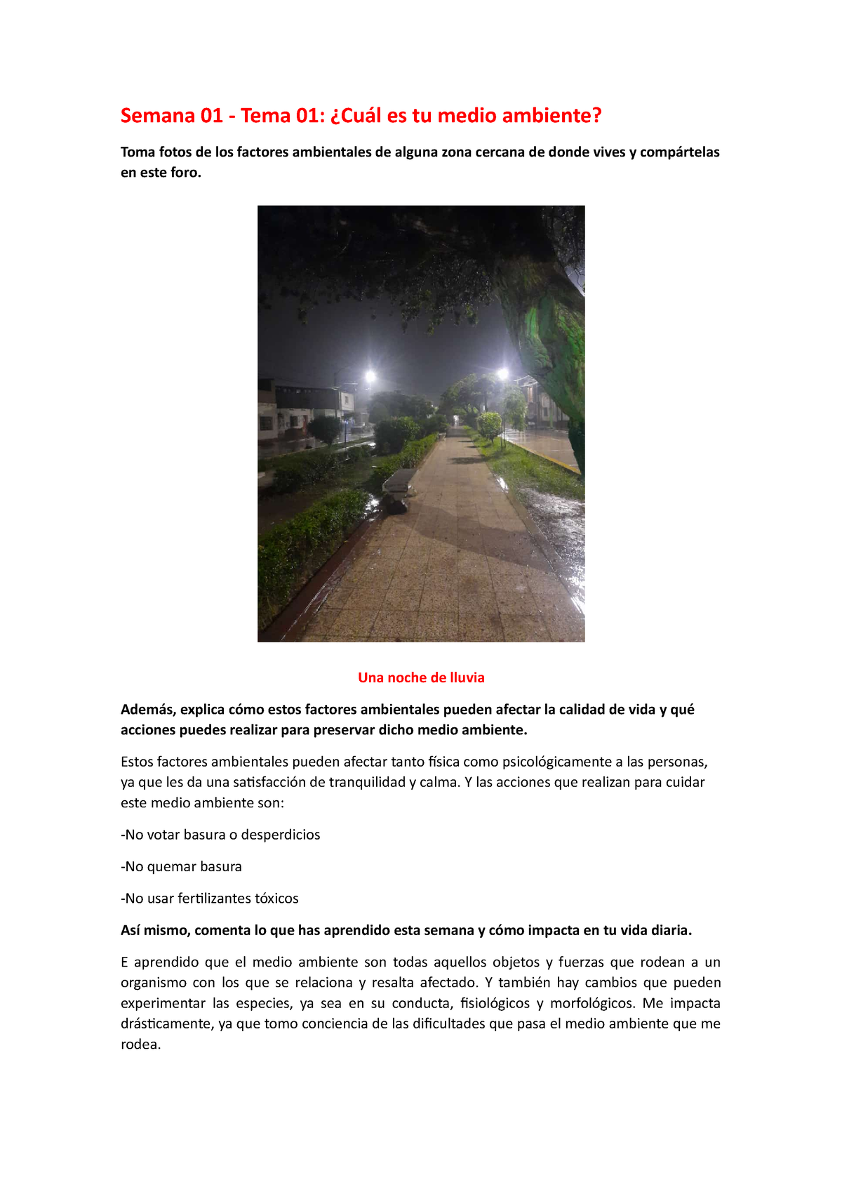 Centro de Formação Ambiental - Quiz Ambiental! #Imagem5 A primeira resposta  certa ganha: 10 pontos! Vale dize nome cientifico ou popular! Premiação: 1º  Colocado: 1 Eco Bag + 1 Kit de mudas