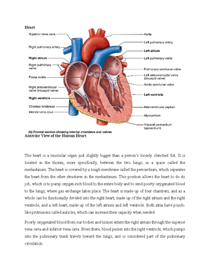 Revision - CHAPTER 1 Purpose of the Study This study aims to understand ...