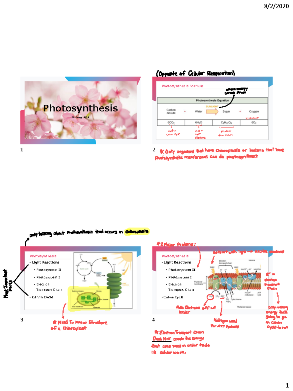 Chapter 5 Photosynthesis+PDF - 8/2/ 1 Photosynthesis Biology 101 ...