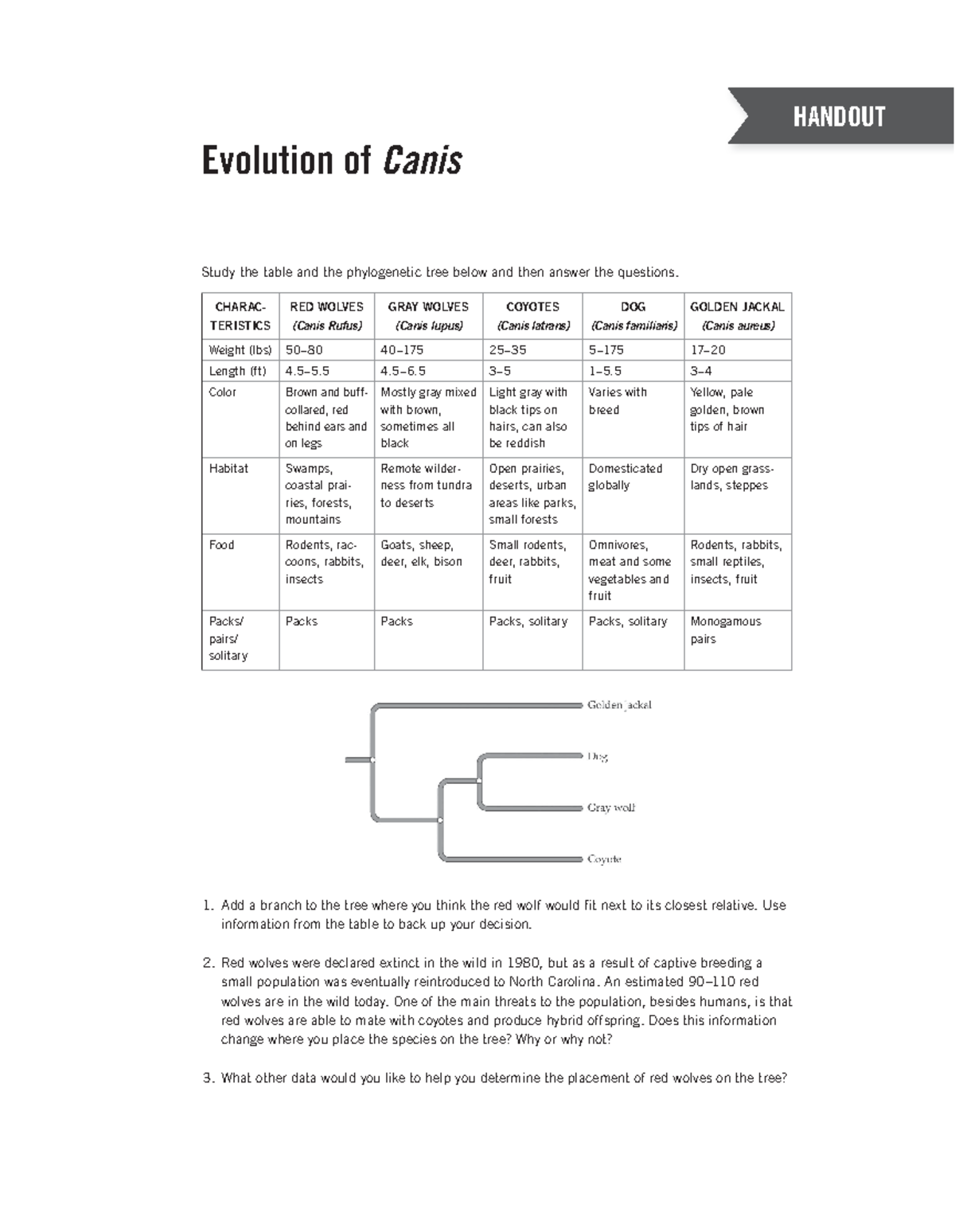 Ch13 Handout 2 - Professor Debra Conte - HANDOUT Evolution of Canis ...