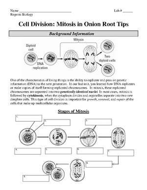 Codon Chart and Wheel Handout - Codon Chart and Wheel These charts ...