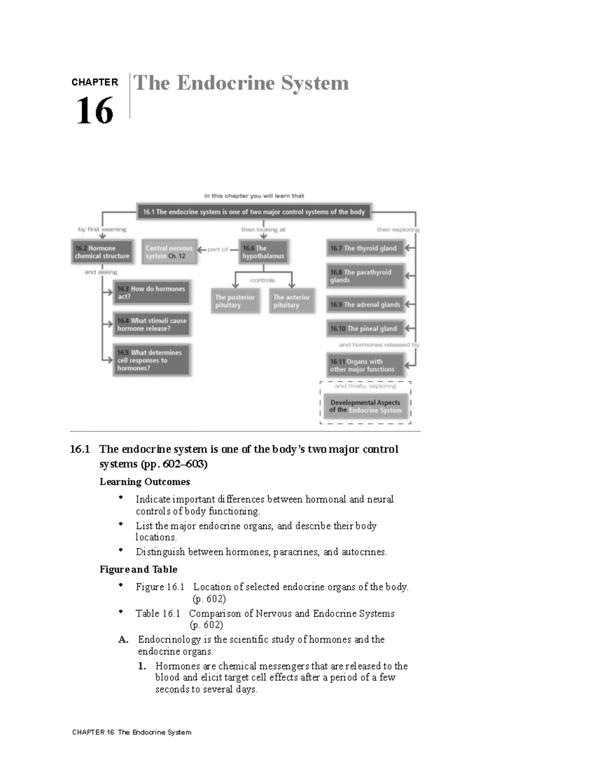 BIOS254 CH 16 Textbook notes & answer key 2 The Endocrine System 16