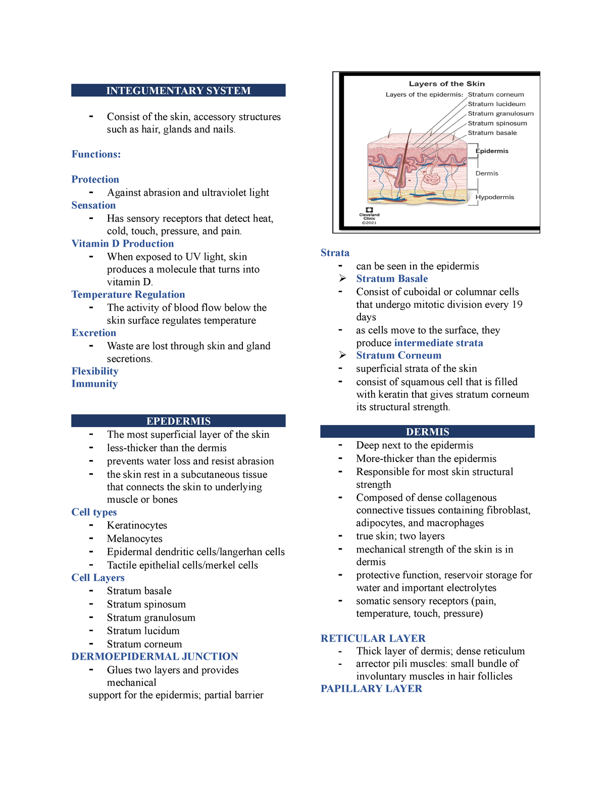 Chapter 5 - Integumentary System - INTEGUMENTARY SYSTEM - Consist of ...