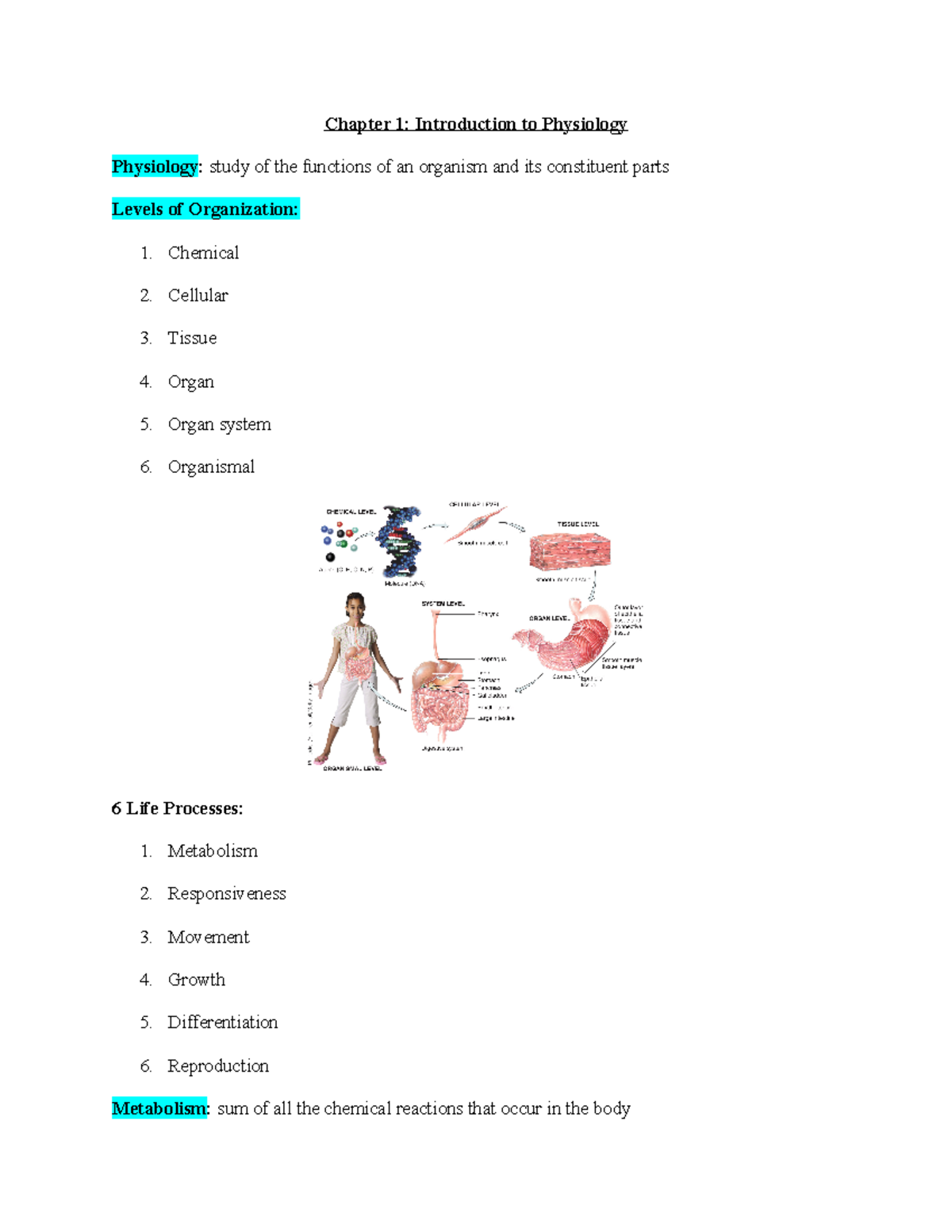 Chapter 1 - Lecture Notes 1 - Chapter 1: Introduction To Physiology ...