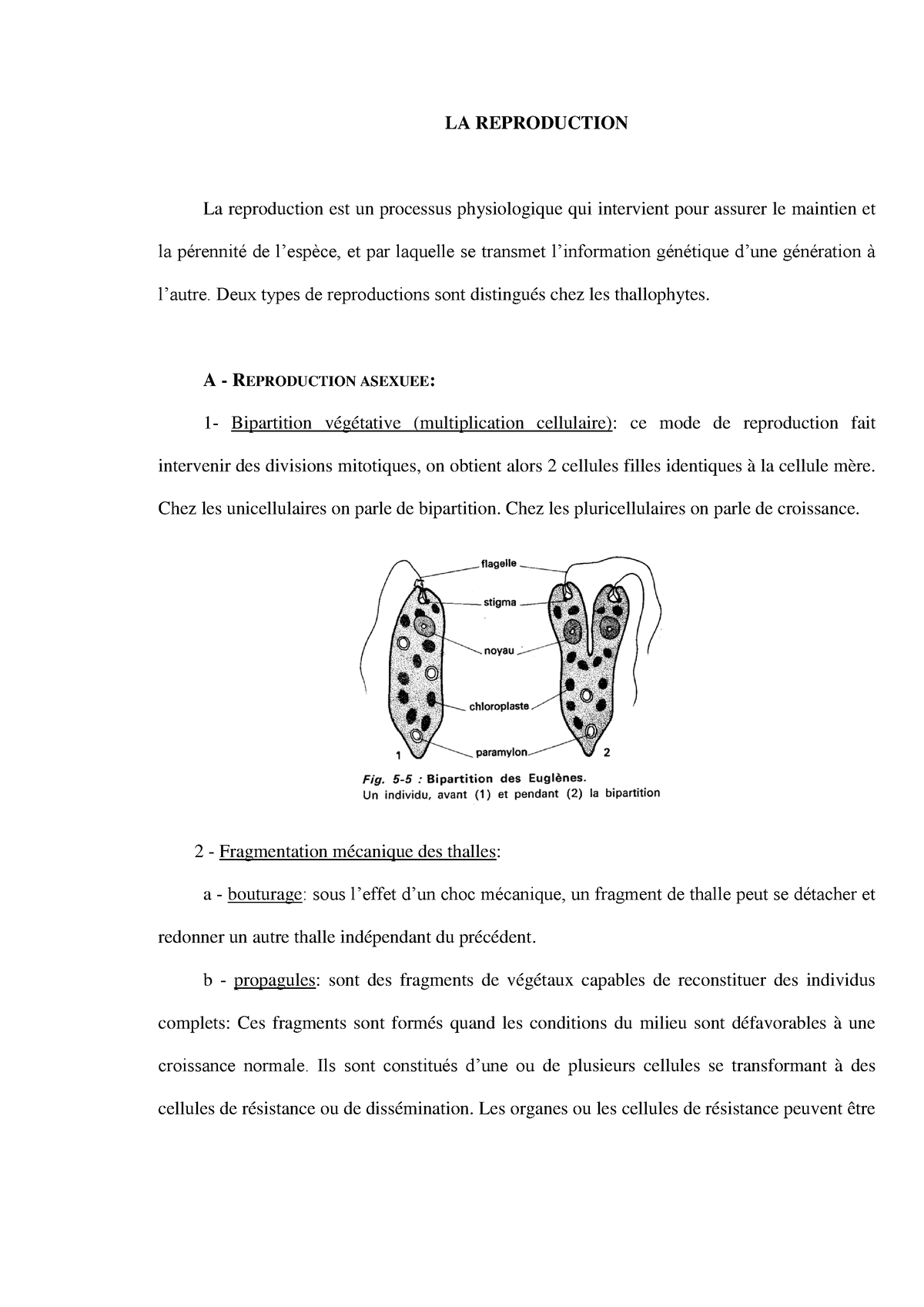 La Reproduction Biologie Vegetale Cours La Reproduction La Reproduction Est Un Processus 1829