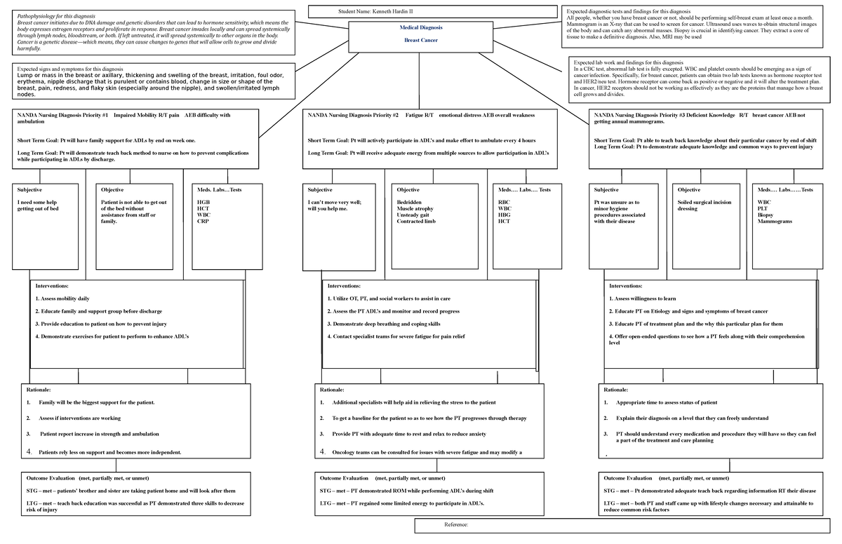 Concept Map 4100-2 - [Type text] Expected lab work and findings for ...