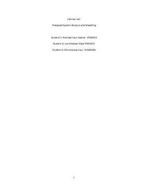 Strategic Information Systems Management Group Assignment - Faculty of ...