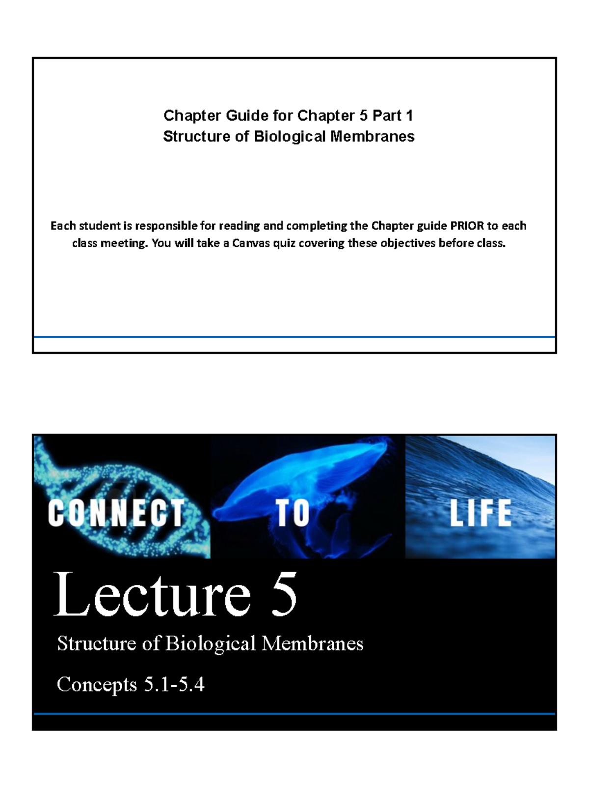Chapter 5 Part 1 PP + Worksheet Summary - Chapter Guide for Chapter 5 ...
