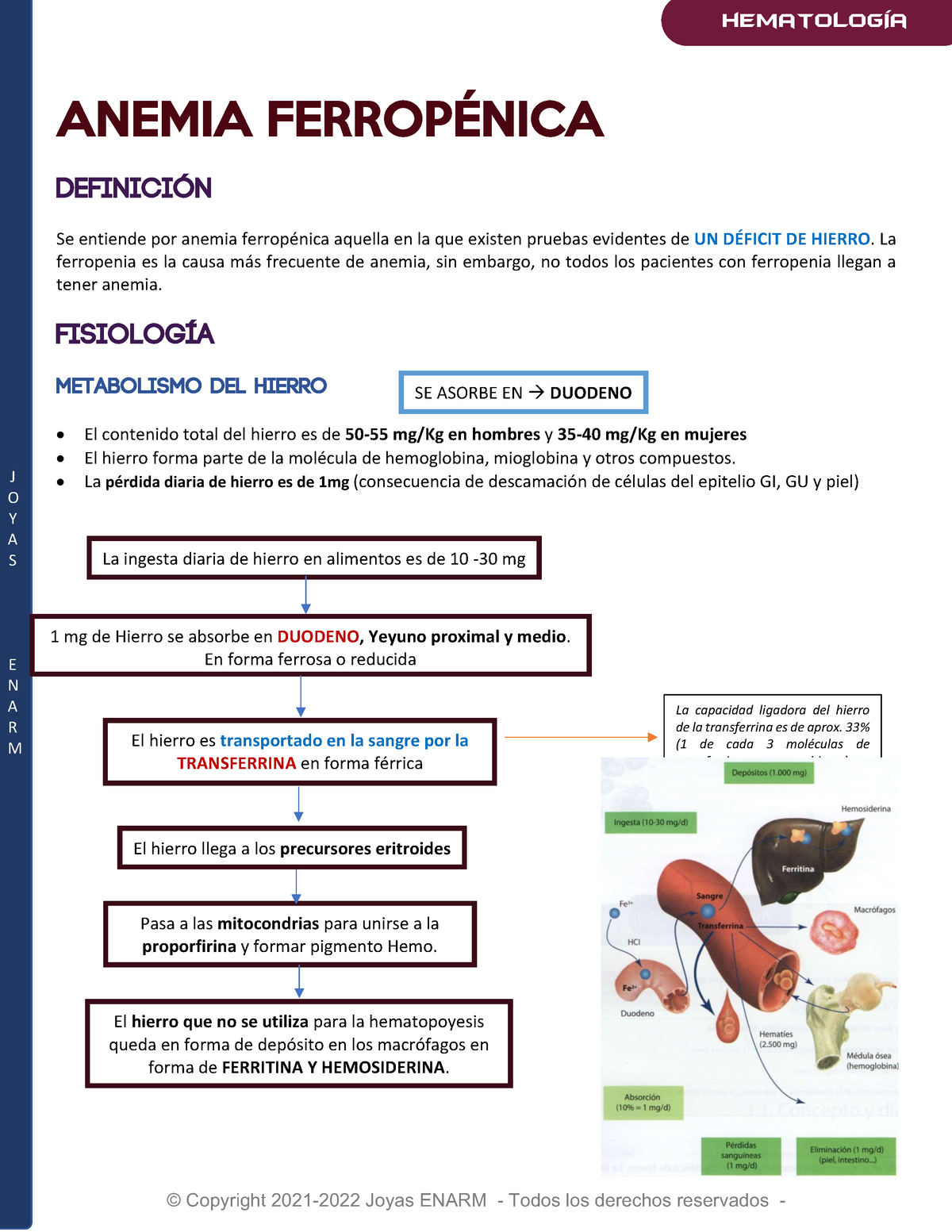 Anemia Ferropénica - J O Y A S E N A R M ANEMIA FERROPÉNICA DEFINICIÓN ...