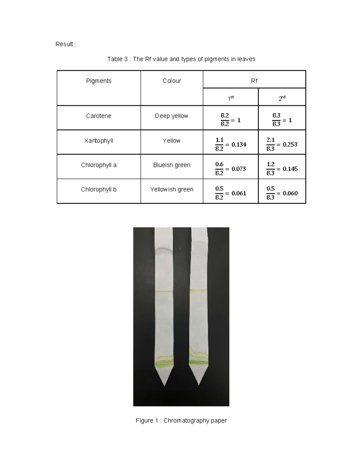 Exp3 - Result : Table 3 : The Rf value and types of pigments in leaves ...