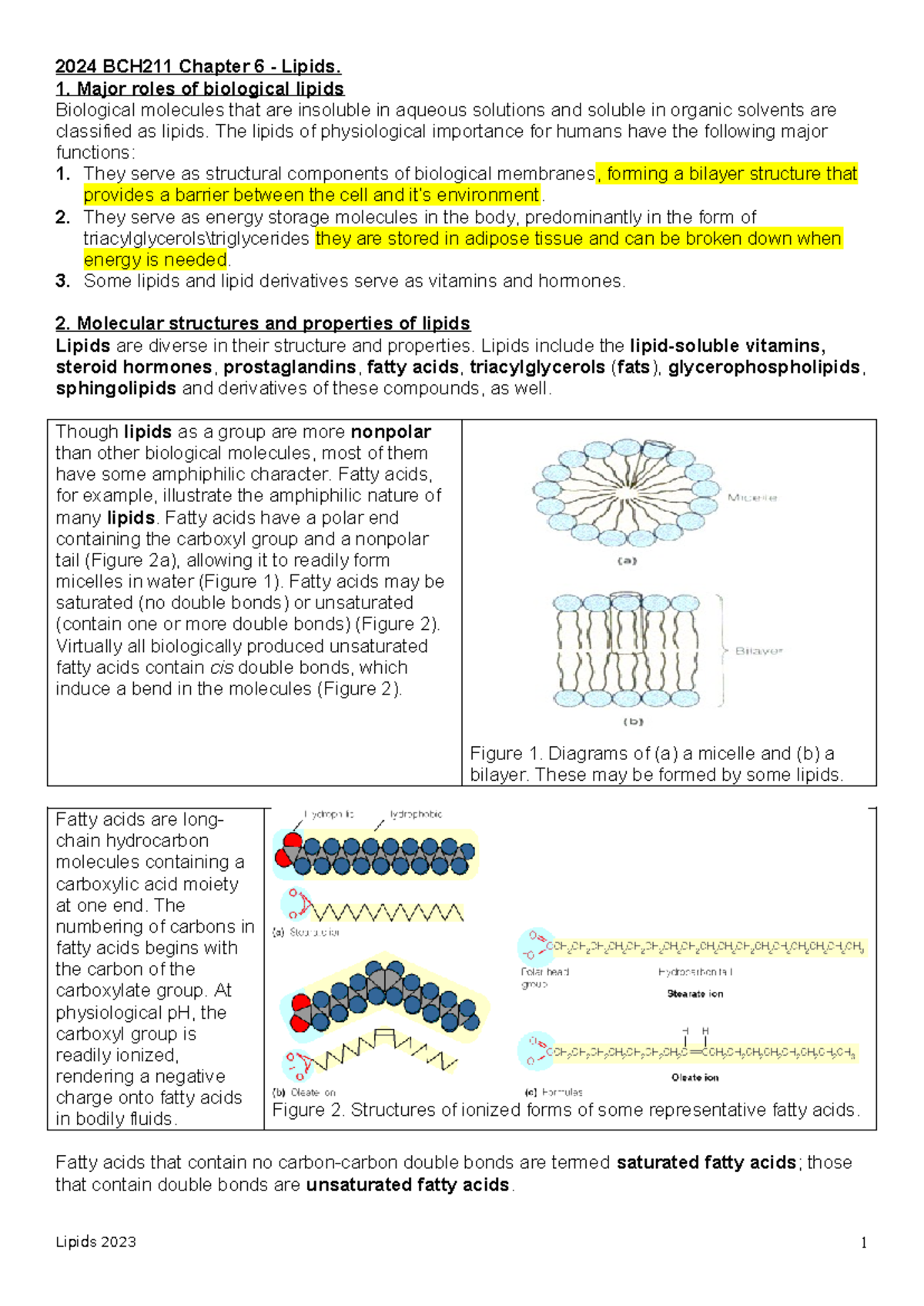 2024 BCH211 Lipids Chapter 5 - 2024 BCH211 Chapter 6 - Lipids. Major ...