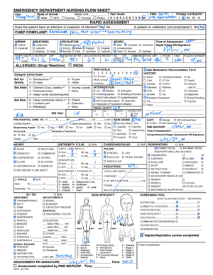 Emergency Nursing - EMERGENCY NURSING Prepared By: PROF. LORELIE POMENTIL NOV 2023 Philippine ...