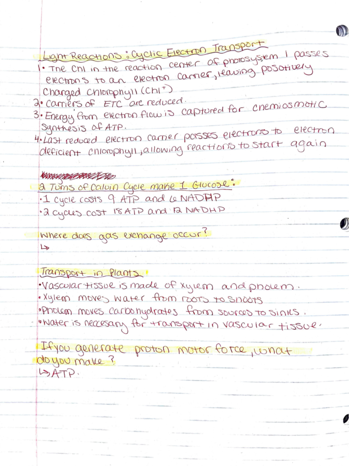 chapter 35 lecture notes - BI 112 - ' I I I I I II I t i \ I \ f 0 I 8 ...