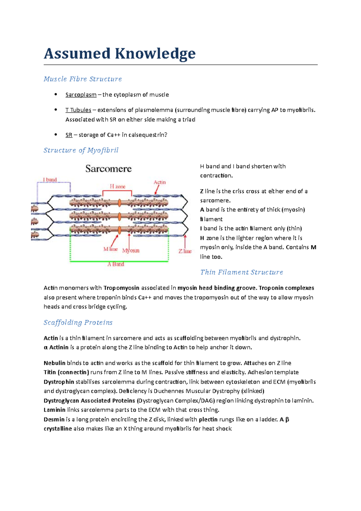 Summary - assumed knowledge - Assumed Knowledge Muscle Fibre Structure ...