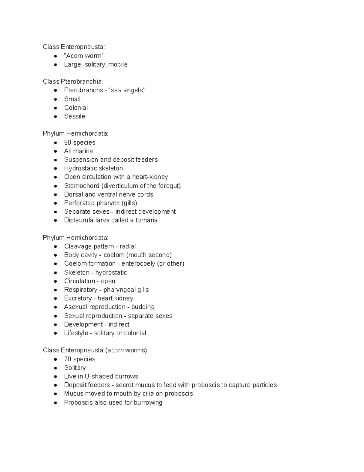 phylum-hemichordata-dr-moran-class-enteropneusta-acorn-worm