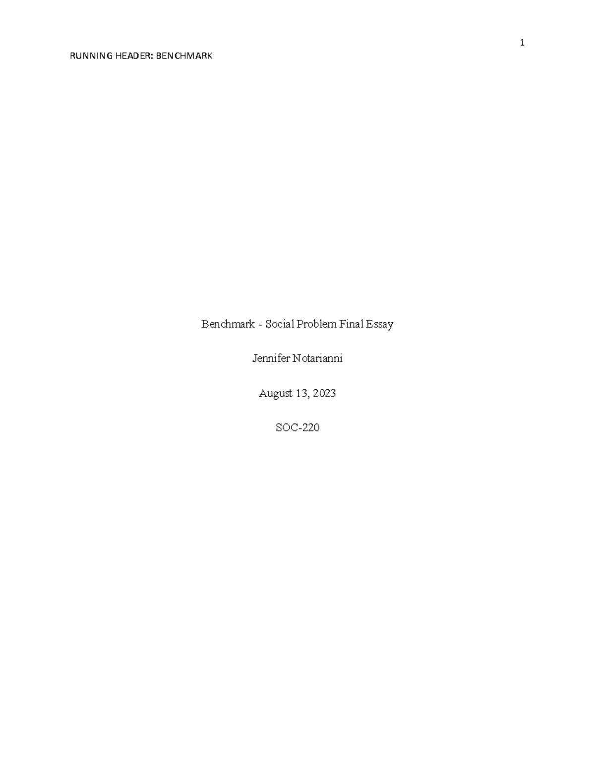 benchmark social problem final essay