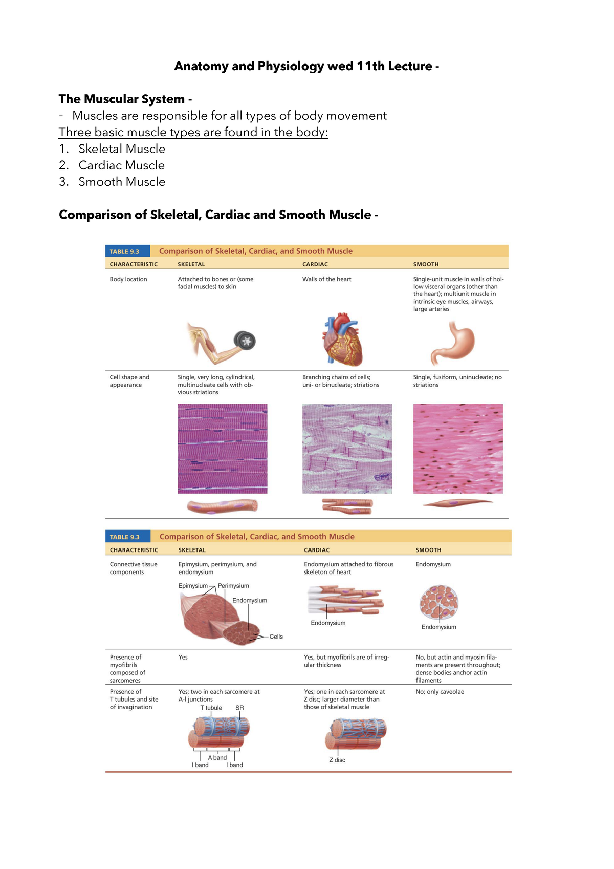 Anatomy and Physiology wed 11th - blood) Maintaining posture and body ...