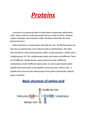 Carbohydrate Catabolism Lab - Carbohydrate Catabolism Lab CONCLUSIONS ...