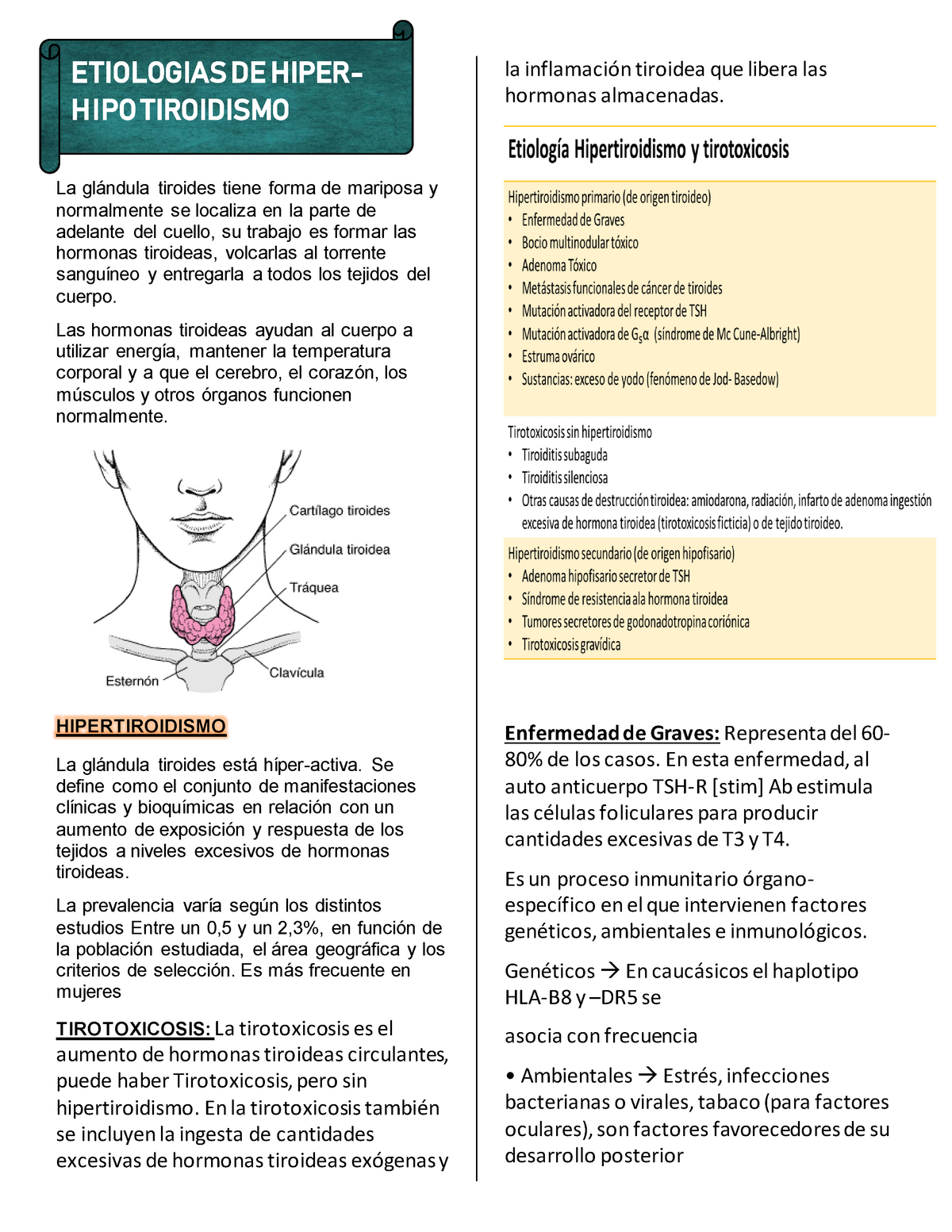 Hipertiroidismo: endocrinóloga explica factores claves de la condición